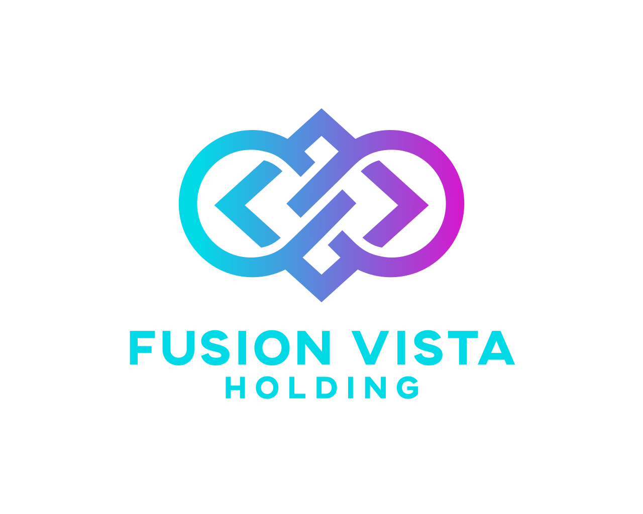 Fusion Vista Holding
